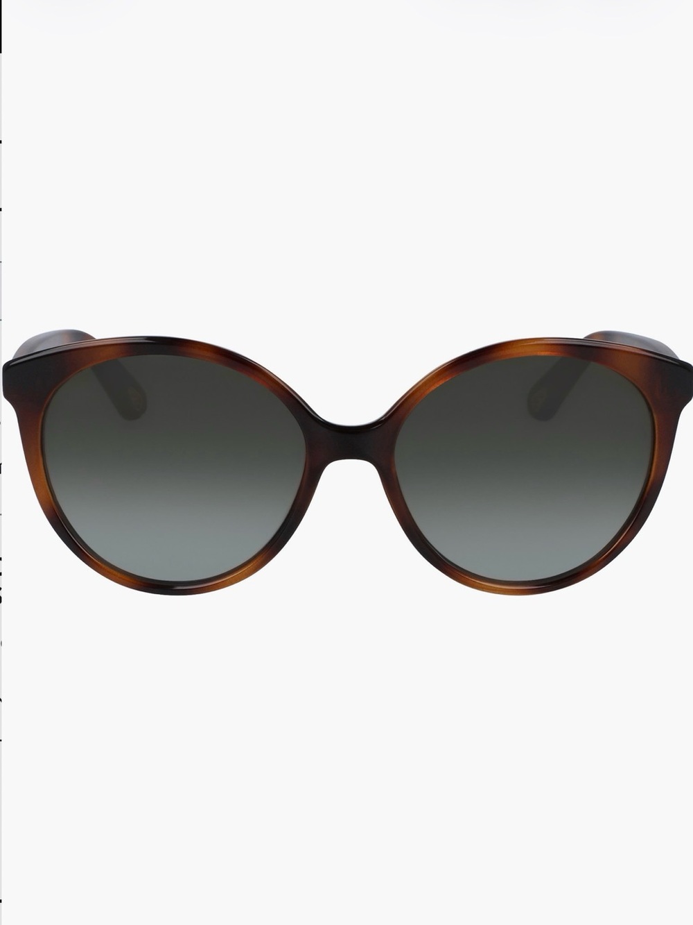 Chloe 58mm Gradient Cat Eye Sunglasses in Havana Brown